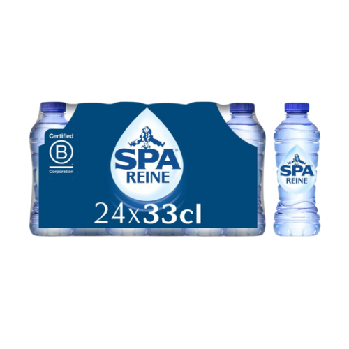 SPA REINE (EAU PLATE) 33CL (48u)